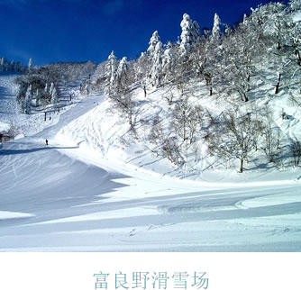 富良野滑雪場