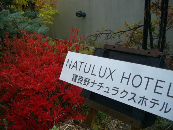 テラスのどうたんつつじ